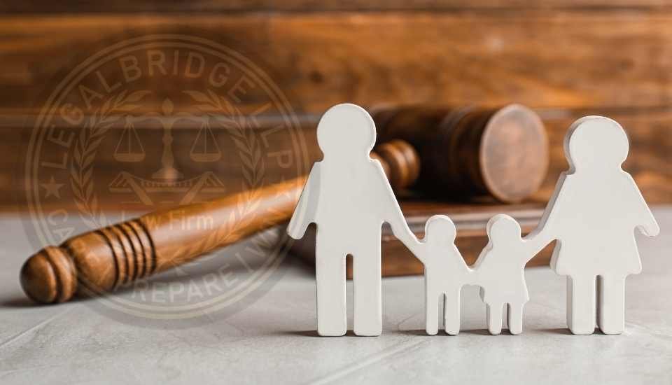Adoption Lawyer In Lahore Pakistan